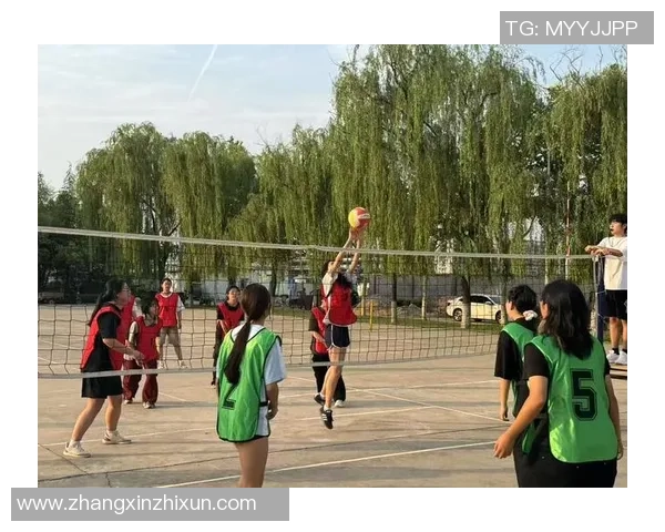 排球盛宴：深入分析西安排球队球员的个人技术与战术素养